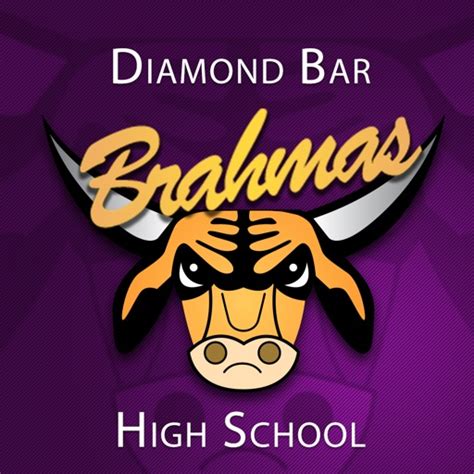 diamond bar high school mascot