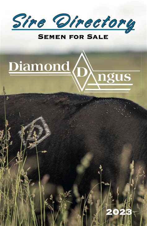 diamond d angus ranch montana