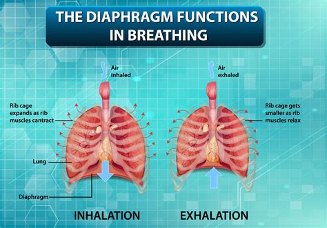 Diaphragm Aperture Function