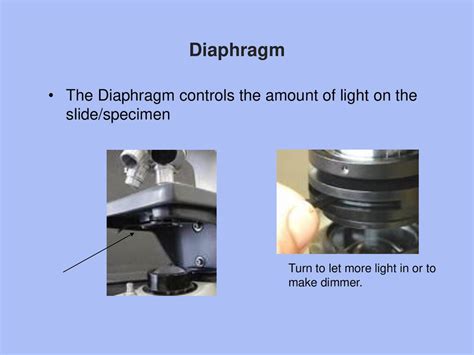 Diaphragm Function On Light Microscope