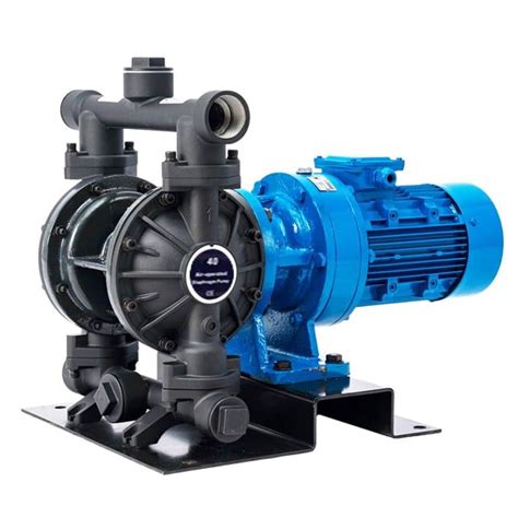 Diaphragm Pump Motor