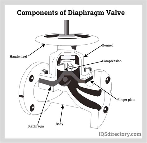 Diaphragm Type Meaning