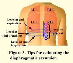 Diaphragmatic Excursion Palpation