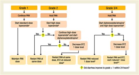 Diarrhea Treatment Algorithm