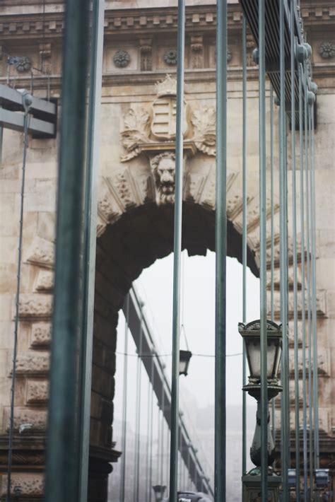 💖 From Flames to Feathers: Unveiling Ruby Rose’s Most CSS Porn Moments!