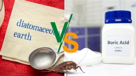 diatomaceous earth vs boric acid for roaches