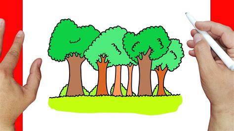 Easy Rainforest Drawing For Kids Allow your child to play around with