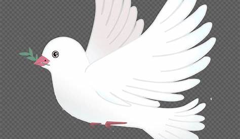 Paloma/paloma del blanco ilustración del vector. Ilustración de guerra