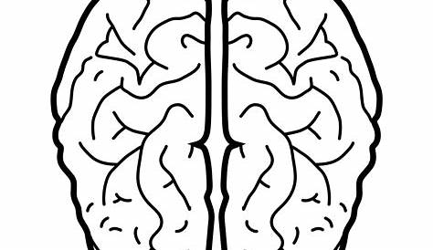 Dibujos del cerebro para pintar - Imagui