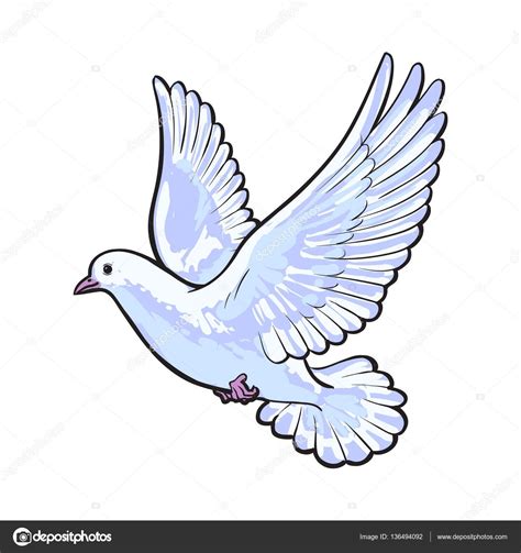 dibujo de paloma blanca