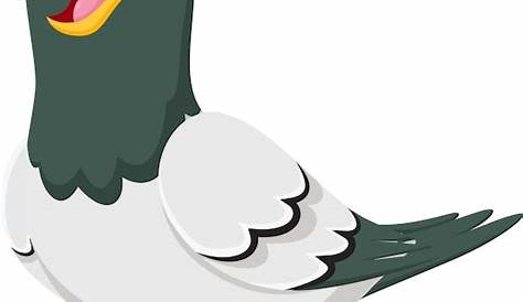 Dibujos animados divertida paloma aislada sobre fondo blanco — Archivo