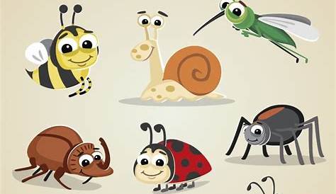 10+ Dibujos De Insectos