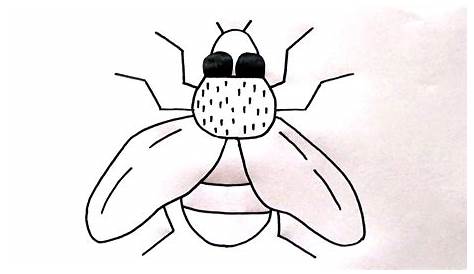 Mosca Dibujo Animado - mosca doméstica 261172 Vector en Vecteezy