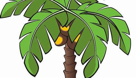 Palmera+(4).gif (718×957) | Tree coloring page, Coloring pages, Coconut