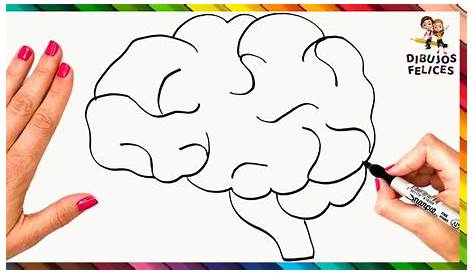 Resultado de imagen para cerebro dibujo | Brain illustration, Brain