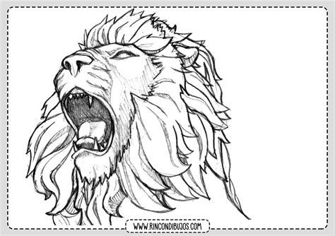 99 DIBUJOS DE LEONES ® Imágenes de leones para colorear para niños