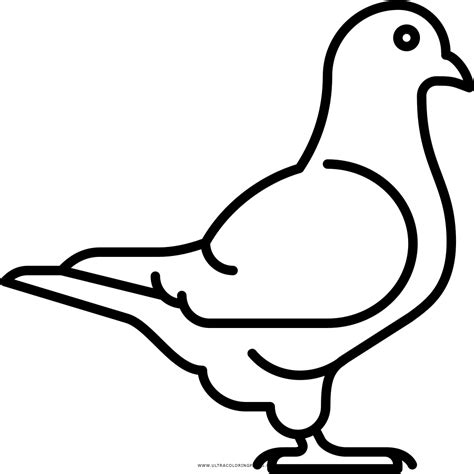 磊【+2750】Los mejores dibujos de palomas para colorear ⚡️
