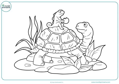 Dibujos de tortugas para Colorear Mundo Primaria