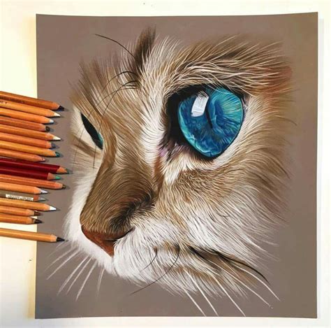 Dibujos Realistas Animales