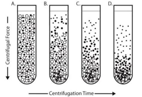 Pin auf Biologie Sekundarstufe Unterrichtsmaterialien