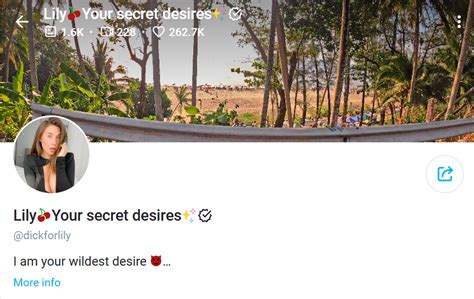 Hollydaze Paros 303 Content Collection: 2026 Update