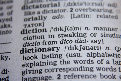 dictionary words dictionary words