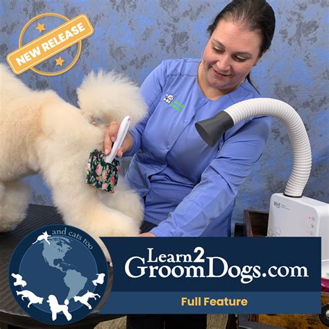 Quick Grooming: Techniques to Groom Faster, Expert Tips!