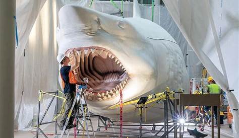 Unveiling The Frozen Truth: Did NASA Discover A Megalodon?
