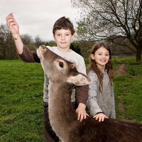 did benjamin mee remarry