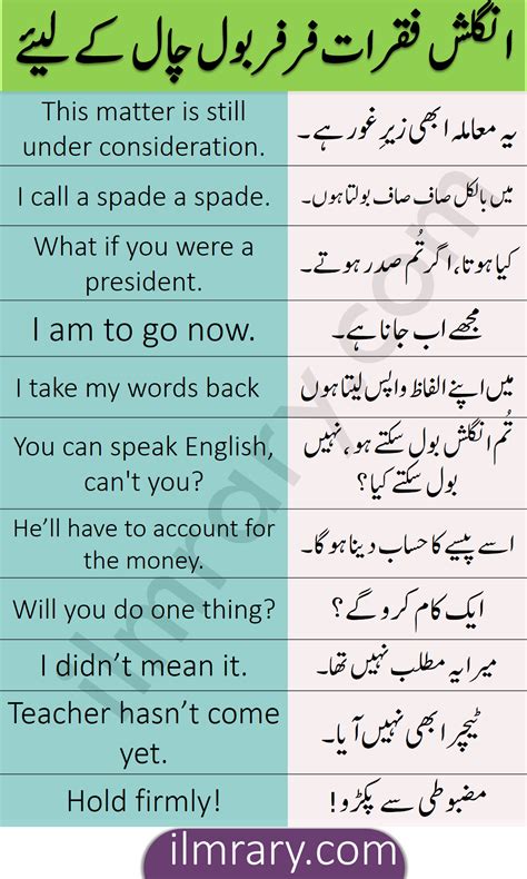 didn't get it meaning in urdu