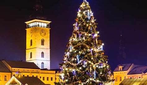 Die Geschichte des Weihnachtsbaumes - Baumpflegeportal.de