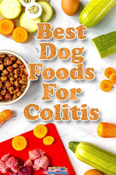 Diet Dog With Colitis