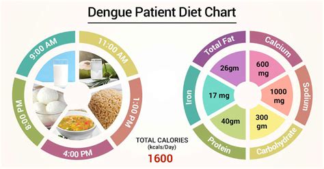 diet for dengue patient