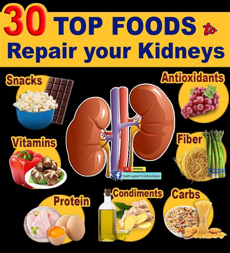 Best Diet for Kidneys Problem: Boosting Renal Health Naturally