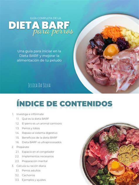 Super guía sobre la dieta BARF para perros decaninos