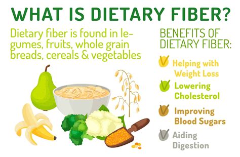 Dietary Fiber Definition Example