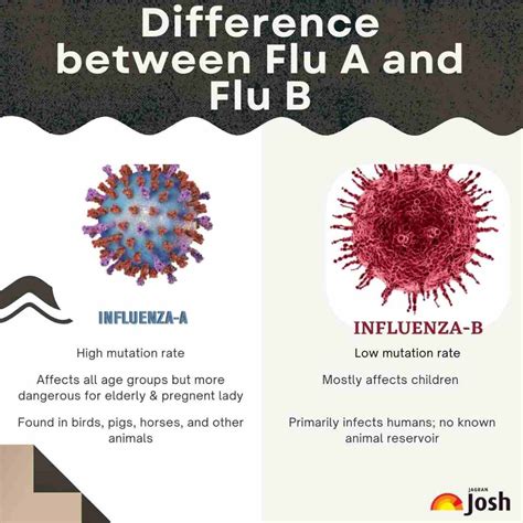 Learn to Spot the Differences Between Cold and Flu NEW Health Center