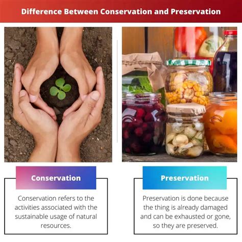 Difference Between Conservation And Preservation
