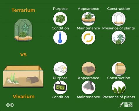 Terrarium vs Vivarium What are the difference between