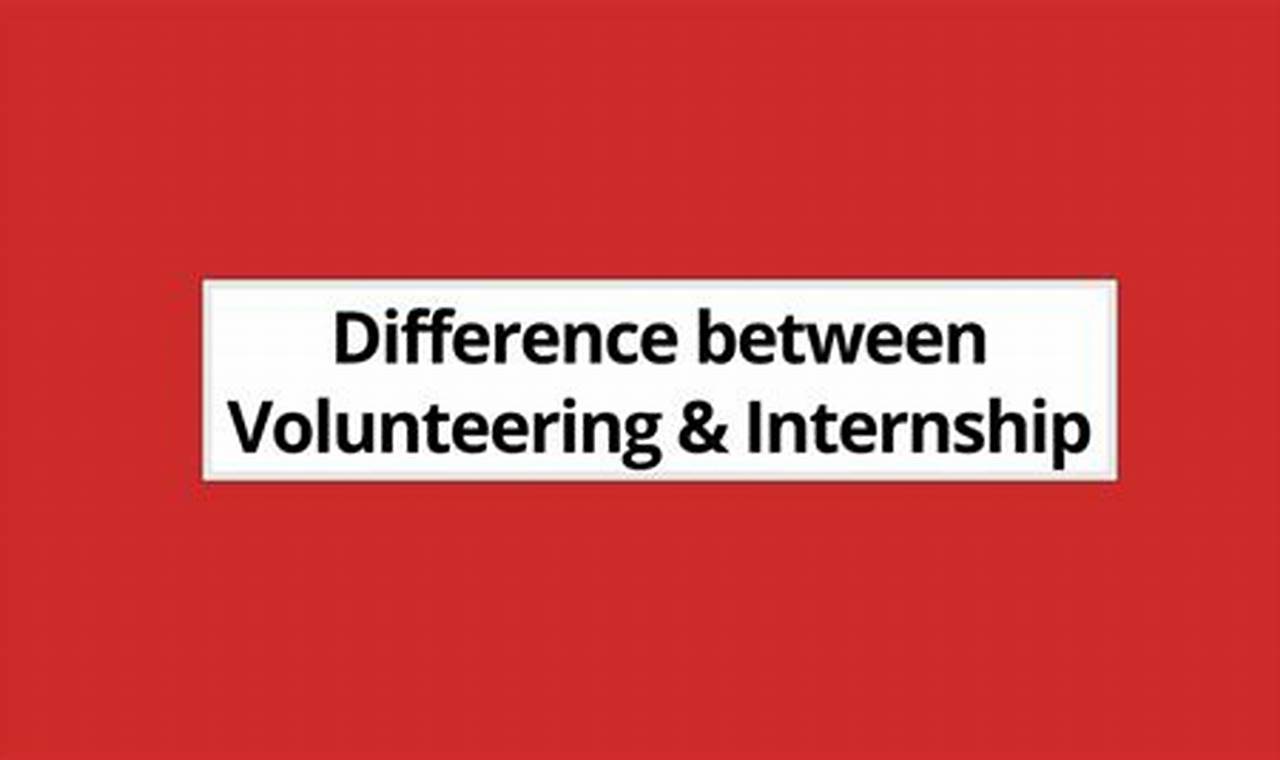 A Comprehensive Guide to Distinguish Volunteering and Internship
