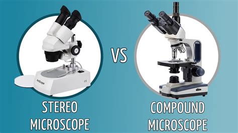 Difference Between A Compound And Stereo Microscope