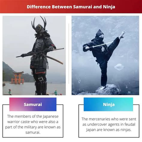 difference between a ninja and a samurai