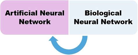 difference between artificial neural network and biological neural network