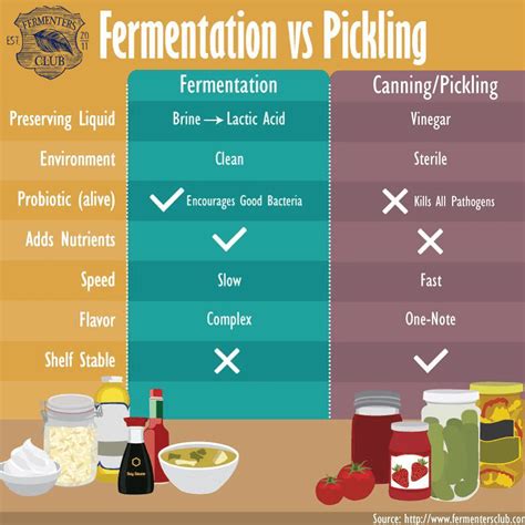 Difference Between Brewing And Fermentation