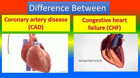 Difference Between Cad And Chf