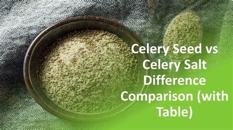 difference between celery seed and celery salt