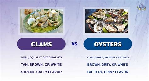 Difference Between Clams And Oysters Shells