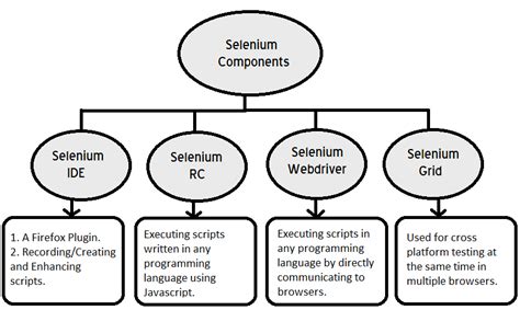 difference between components of selenium