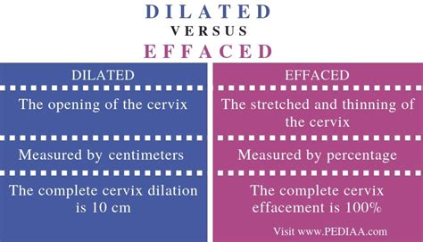 difference between effaced and dilated