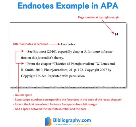 difference between endnote and reference